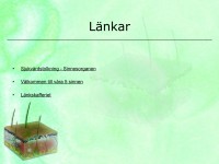/album/sinnesorganen/a6-sinnesorganen-014-jpeg/